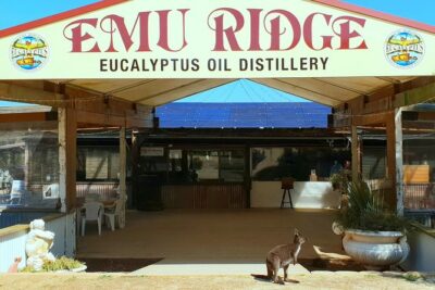 2 day Ultimate Kangaroo Island with return ferry - Kangaroo Island Wildlife Park: feed kangaroos and meet koalas