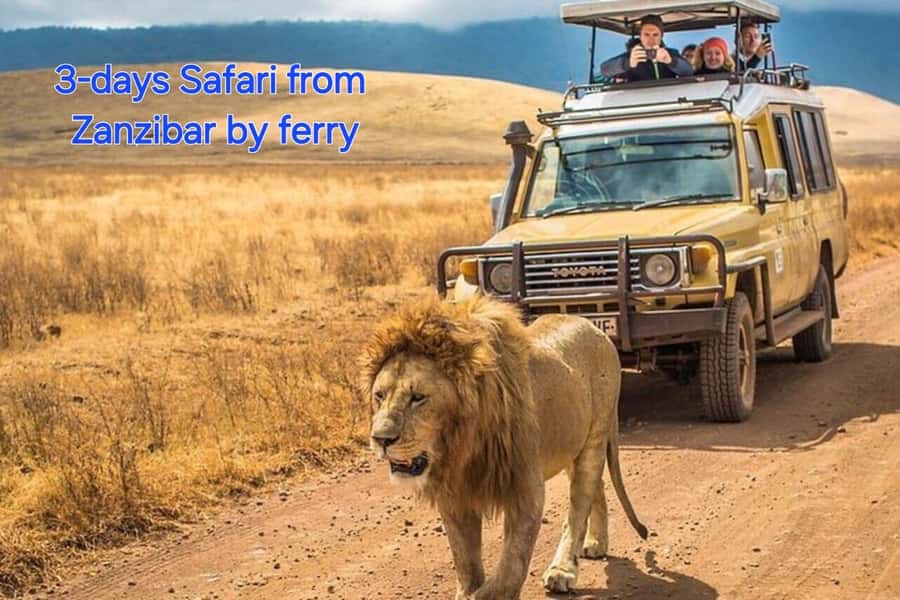 3 DAYS, 2 NIGHTS SAFARI FROM ZANZIBAR TO MIKUMI BY FERRY. - Key things you’ll enjoy most