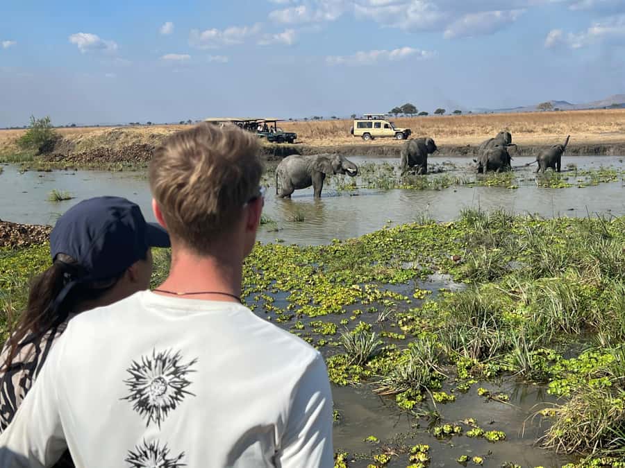 3 DAYS, 2 NIGHTS SAFARI FROM ZANZIBAR TO MIKUMI BY FERRY. - The guides make or break it: Seif, Khamis, and Godfred-style support