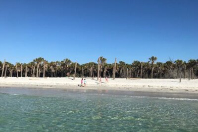 4-Hour St. Pete Pier to Egmont Key Experience by Ferry - The Main Event: Riding the Water Past St. Pete and Under the Sunshine Skyway