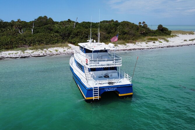 4-Hour St. Pete Pier to Egmont Key Experience by Ferry - Snorkeling and Wildlife: Dolphins Are Possible, Marine Life Is Real