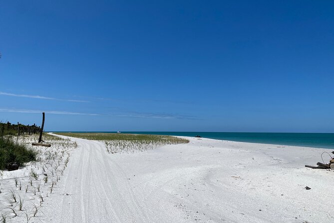 4-Hour St. Pete Pier to Egmont Key Experience by Ferry - Onboard Comfort and Food: Cooler-Friendly With a Bar