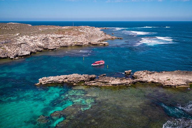 Adventure Rottnest Tour with Ferry & Adventure Cruise - Key things to know before you go