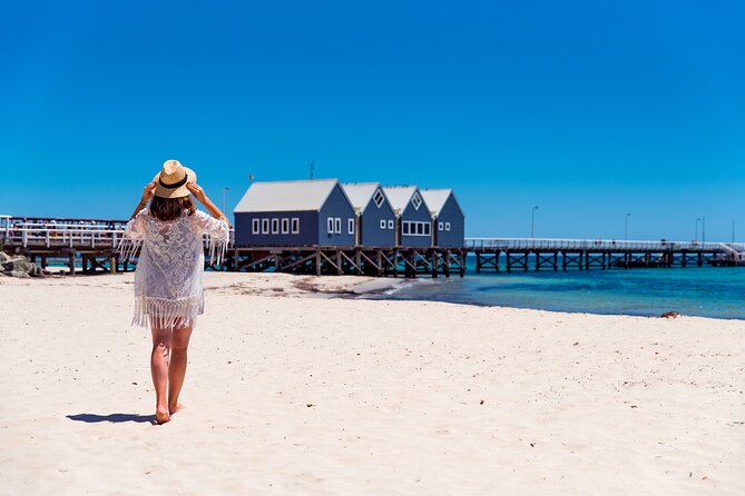 Adventure Rottnest Tour with Ferry & Adventure Cruise - Price and value: what $117.27 really covers