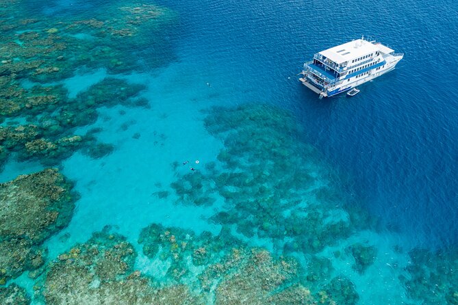 Afternoon Fitzroy Island Escape – Return Ferry Included - Nudey Beach coral sand: how to enjoy the sand and the water