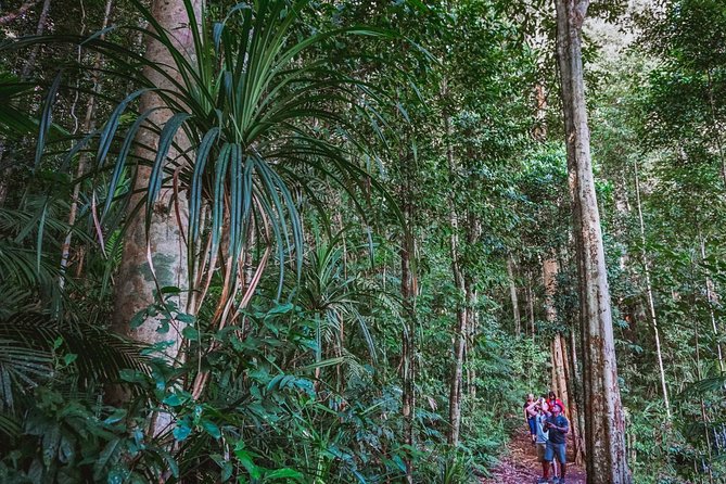 Afternoon Fitzroy Island Escape – Return Ferry Included - Island food options and the reality of no lunch
