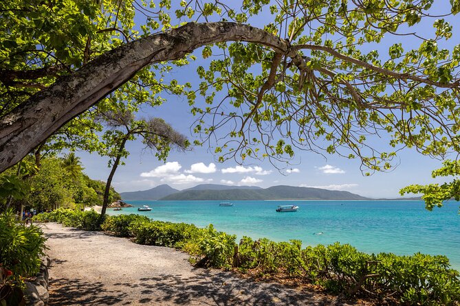 Afternoon Fitzroy Island Escape – Return Ferry Included - Who should book this (and who should think twice)