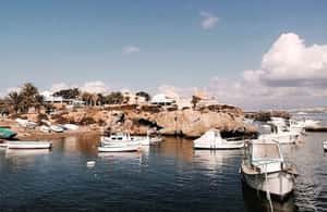 Alicante/Torrevieja: Excursion to Tabarca by ferry, Santa Pola, and Laguna Rosa - Guides, pacing, and why the format works (when it does)