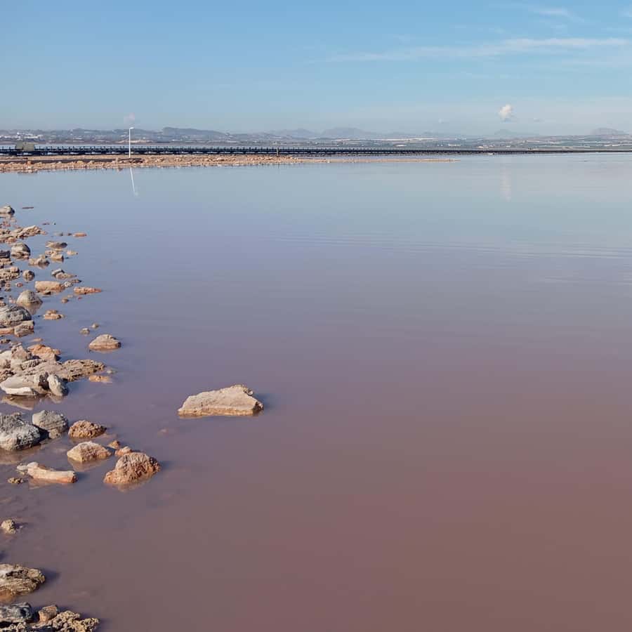 Alicante/Torrevieja: Excursion to Tabarca by ferry, Santa Pola, and Laguna Rosa - Ferry to Tabarca: the short ride that sets the tone