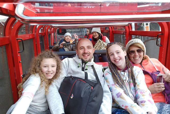 All Inclusive Blue Mountain,Scenic World,Lunch,Koalas,ferry - A Full-Day Blueprint From Circular Quay
