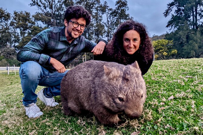 All Inclusive Blue Mountain,Scenic World,Lunch,Koalas,ferry - Price and Value: Why $204.41 Can Make Sense