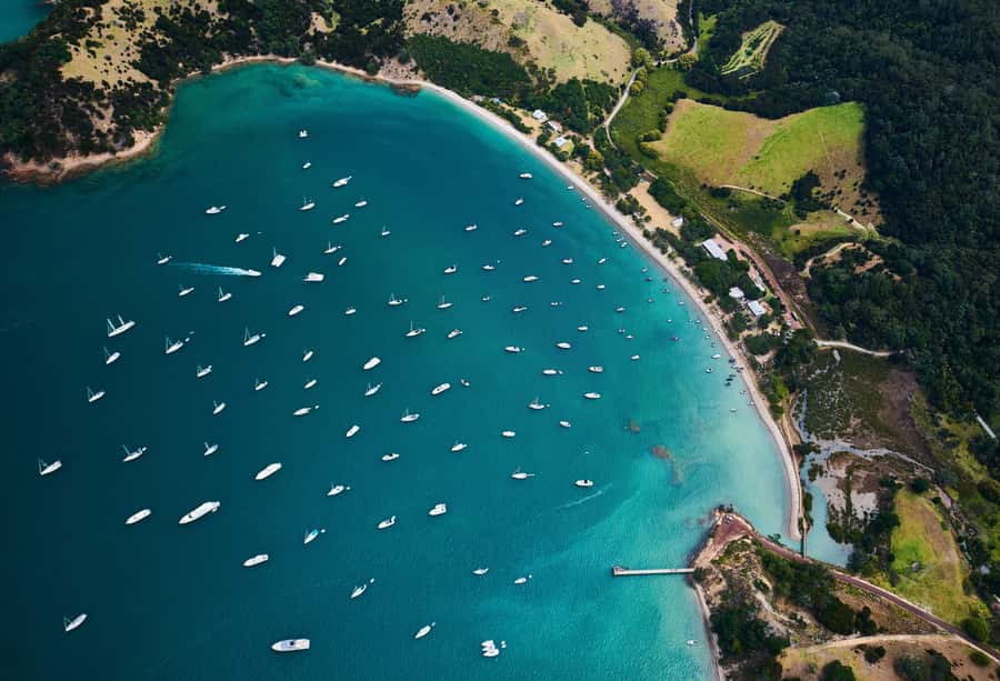 Auckland: Man O' War Vineyard Ferry (Waiheke Island) - Why a Man O’ War day trip feels different from typical Waiheke stops