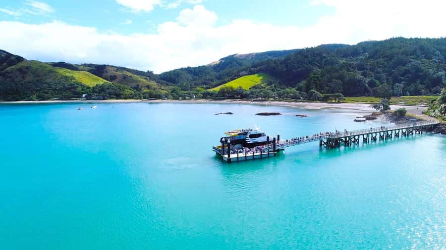 Auckland: Man O' War Vineyard Ferry (Waiheke Island) - Man O’ War Vineyard time: wine, lunch options, and plenty of space to spread out