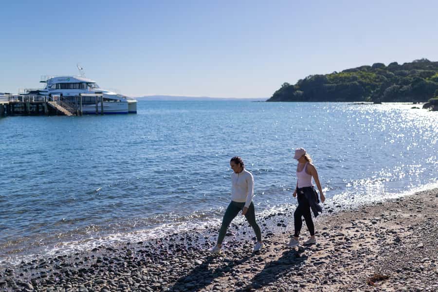 Auckland: Tiritiri Matangi Island Ferry - Hauraki Gulf cruise to a true wildlife sanctuary