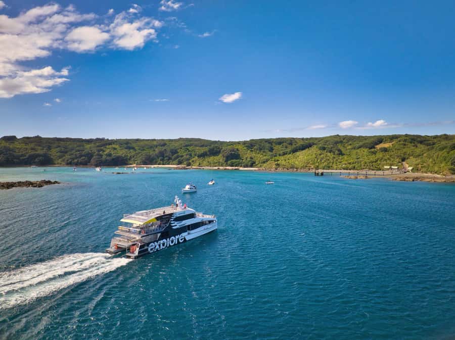 Auckland: Tiritiri Matangi Island Ferry - The ferry ride itself: comfortable, scenic, and practical