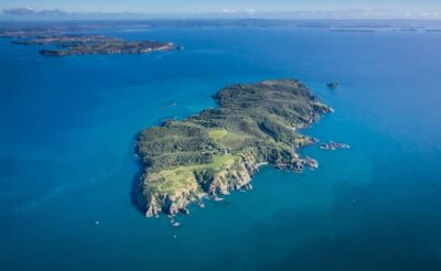 Auckland: Tiritiri Matangi Island Ferry - Getting there: Auckland Viaduct vs Gulf Harbour start