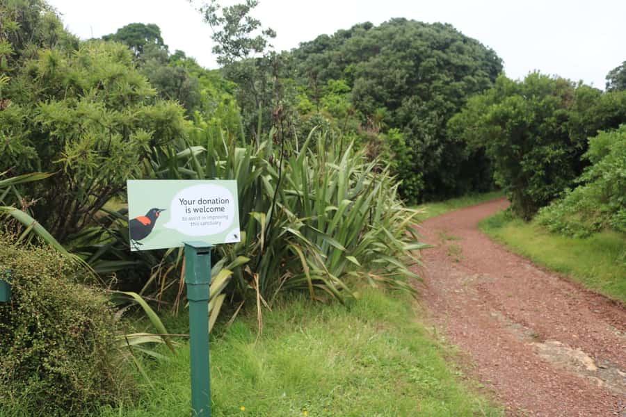 Auckland: Tiritiri Matangi Island Ferry - Once you land: walking tracks through regenerating forest