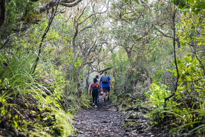 Auckland to Rangitoto Island Ferry - What to bring (because there are no stores on the island)