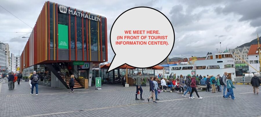 Bergen: Sightseeing Walking Tour with Ferry Ride - How the guide turns city facts into real-life understanding