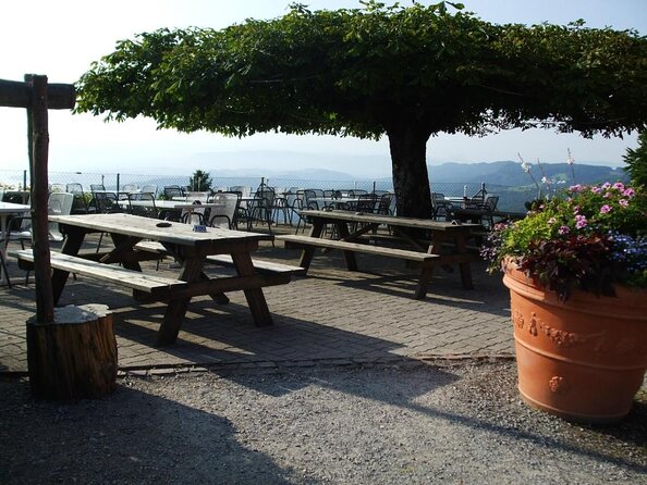 Best of Zurich Tour with Felsenegg Cable Car and Ferry Ride - The Smart Half-Day Route From Sihlquai Bus Station