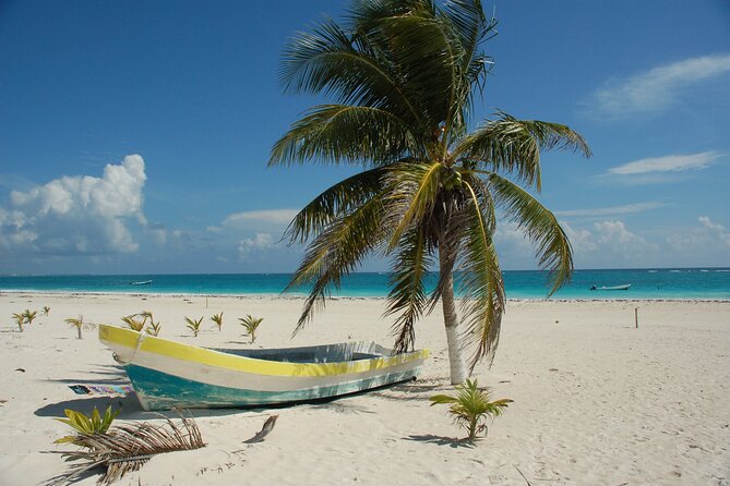 Bimini or Grand Bahama Island by Ferry - Grand Bahama Island: Casinos, Duty-Free, and More Stuff to Do
