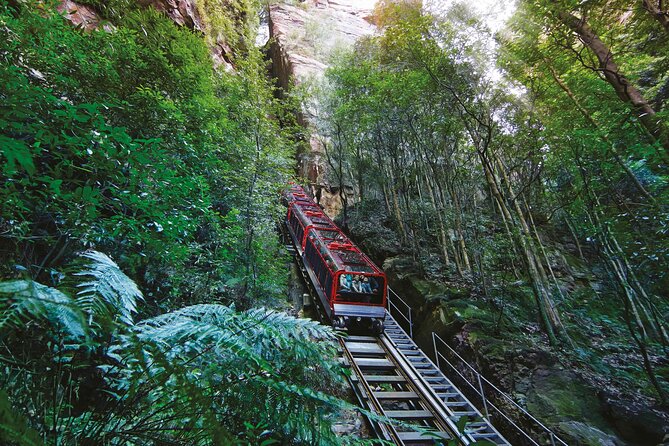 Blue Mountains Adventure w Scenic World, Zoo, Koala Photo & Ferry - Key things to know before you go