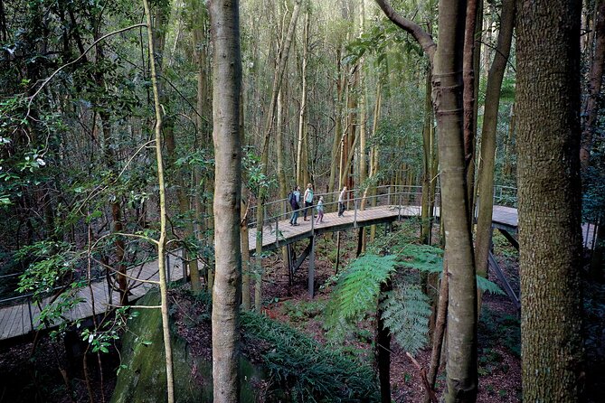 Blue Mountains Adventure w Scenic World, Zoo, Koala Photo & Ferry - Blue Mountains in one day: how the timing really feels