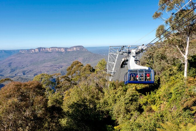 Blue Mountains Adventure w Scenic World, Zoo, Koala Photo & Ferry - Practical tips to make the day smoother