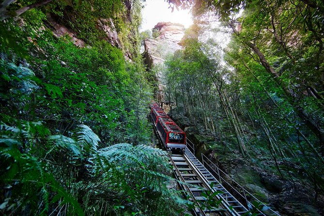 Blue Mountains Small-Group Tour from Sydney with Scenic World,Sydney Zoo & Ferry - Key things I’d plan for