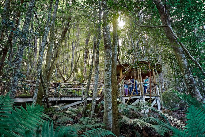 Blue Mountains Small-Group Tour from Sydney with Scenic World,Sydney Zoo & Ferry - The Jamison and Megalong Valley viewpoints plus the lunch window