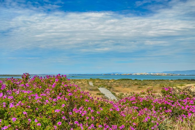 Boat trip from Faro to Ilha Deserta by Ferry - Ilha Deserta Stop: Beach Time, Quiet Walks, and Birdlife