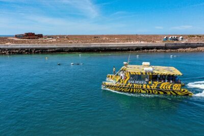 Boat trip from Faro to Ilha Deserta by Ferry - Your Ferry Ride: Timing, Seating, and What Makes It Pleasant