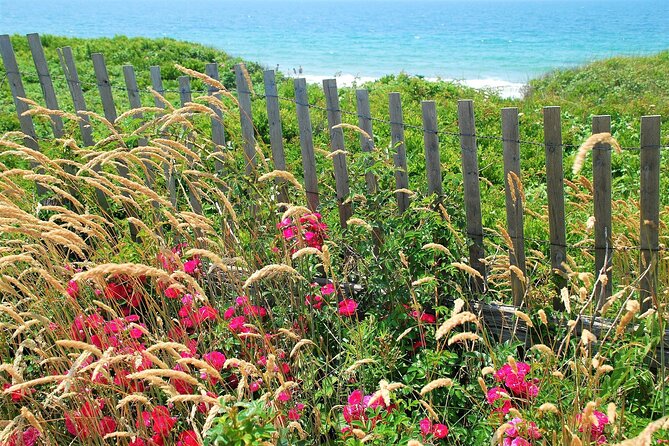Boston to Martha's Vineyard Day Trip with Optional Island Tour - The real trade-offs: comfort, sound, and what you may not see up close