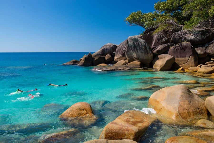 Cairns: Fitzroy Island Ferry with Optional Lunch & Activity - Quick reasons to go
