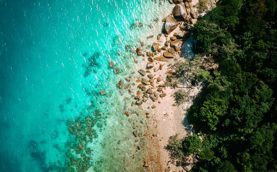 Cairns: Fitzroy Island Ferry with Optional Lunch & Activity - Cairns to Fitzroy Island: what you’re really buying for $59