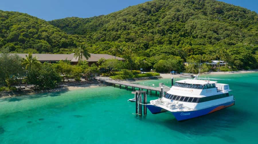 Cairns: Fitzroy Island Ferry with Optional Lunch & Activity - Fitzroy Island arrival: your 4 to 4.5 hours starts now