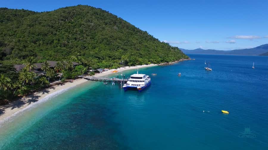 Cairns: Fitzroy Island Ferry with Optional Lunch & Activity - Optional Turtle Centre, guided walks, and kayak tours