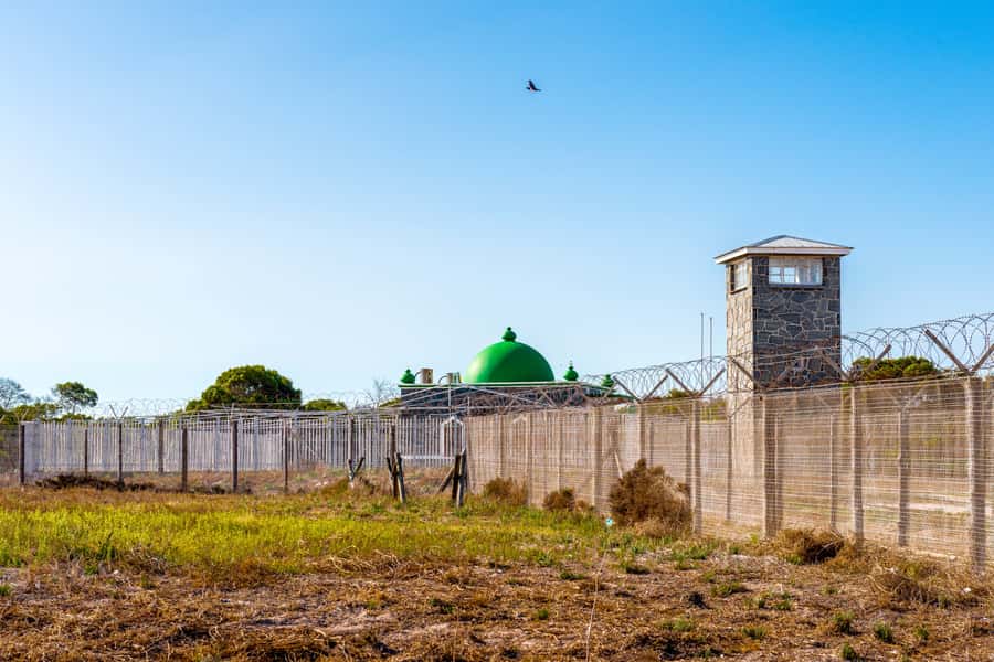 Cape Town: Robben Island Ferry Ticket and Townships Tour - Shebeen homemade beer and a traditional healer: community life beyond the political story
