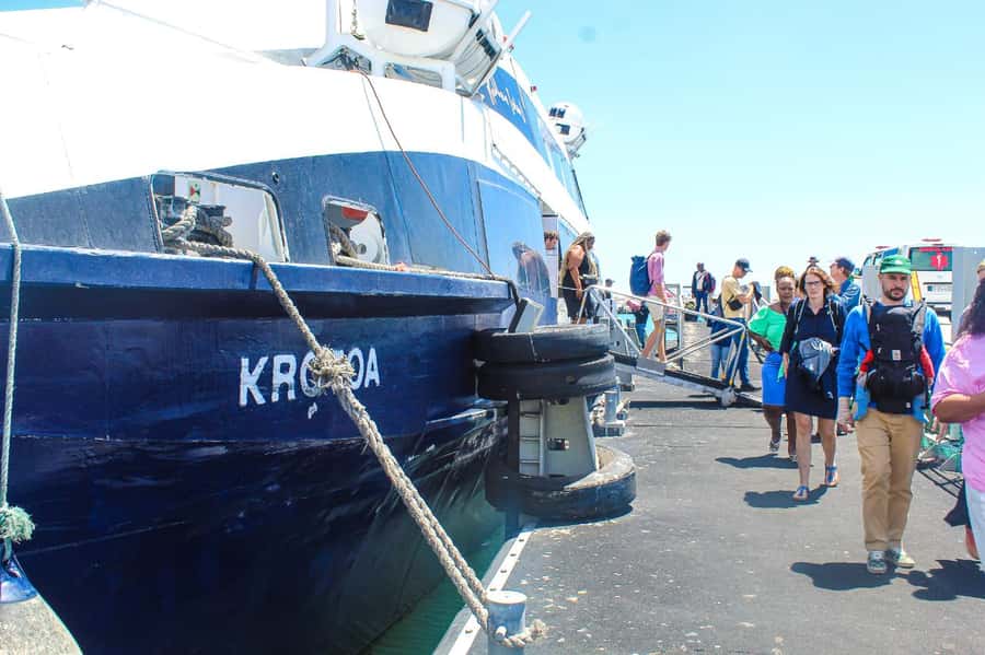 Cape Town: Robben Island ferry ticket plus Guided Tour - Skip-the-Line Ferry from Nelson Mandela Gateway