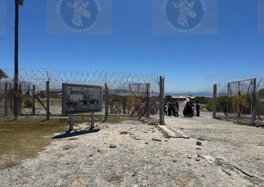 Cape Town: Robben Island Ferry with Prison Ticket and Tour - Price and value: why $90 can be worth it here