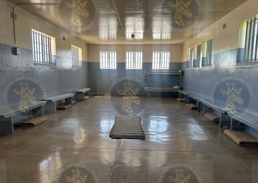Cape Town: Robben Island Ferry with Prison Ticket and Tour - Logistics you should not skip: ticket details and what to bring