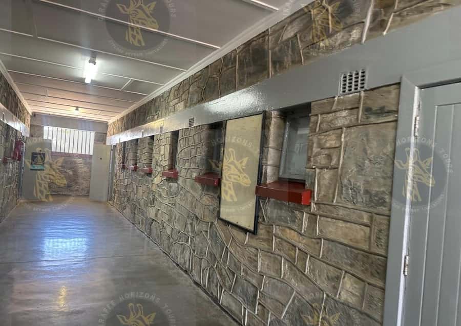 Cape Town: Robben Island Ferry with Prison Ticket and Tour - V&A Waterfront ferry logistics: plan your timing around the Clock Tower