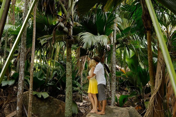 Cat Cocos: Mahe to Praslin Island Fast Ferry - Matching the ferry time to your Praslin plans