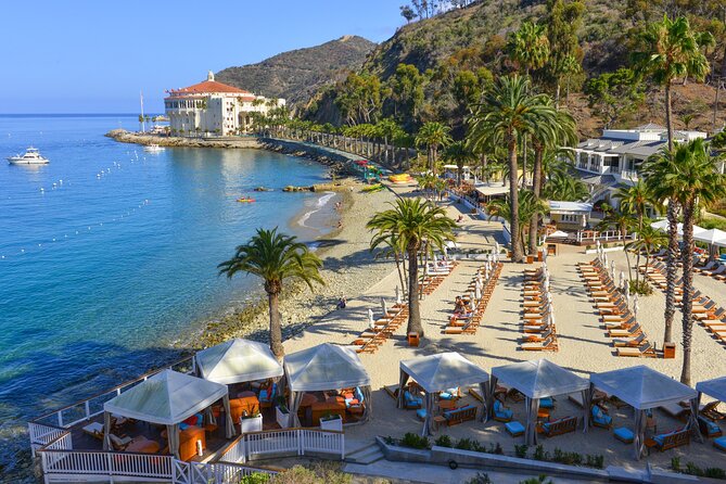Catalina Express: Avalon to San Pedro One-Way Ferry - Price and Value: What $47 Buys (and What It Doesn’t)