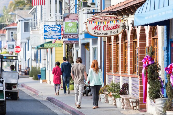 Catalina Express: Avalon to San Pedro One-Way Ferry - Should You Book This One-Way Ferry?