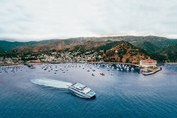 Catalina Express: Avalon to San Pedro One-Way Ferry - On the Water for About an Hour: Views, Comfort, and Onboard Snacks