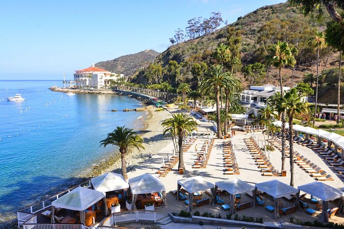 Catalina Express: San Pedro to Avalon One-Way Ferry - Morning vs afternoon departures: timing strategy for a smoother day