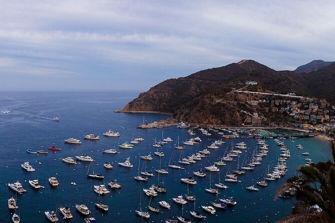 Catalina Island Ferry Avalon to Newport Beach - Key things that matter before you board