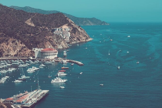 Catalina Island Ferry Avalon to Newport Beach - Avalon to Newport Beach: what this ferry ride gives you