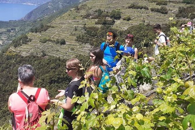 Cinque Terre by train and boat (no ferries in winter) - Tickets, Timing, and Train/Boat Reality Checks (Especially in Winter)
